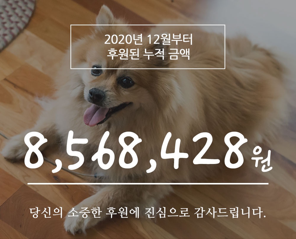 최저가✨ 써지컬스틸 목걸이줄 체인 초커 커플목걸이 커플템 커플아이템 우정목걸이 남자친구 생일 기념일 100일 선물 추천 상세 이미지 2